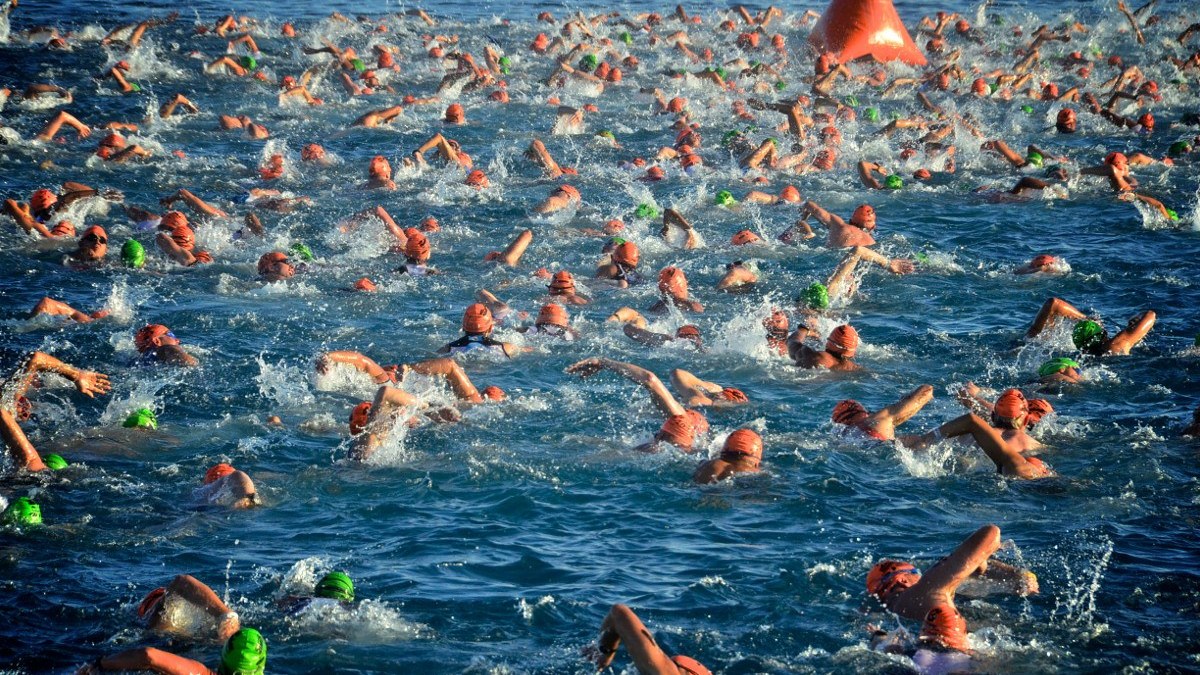 La Copa de Europa de Aguas Abiertas 2026 confirma calendario con Barcelona como sede final