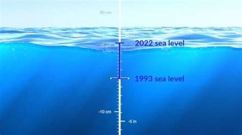 El promedio mundial del nivel del mar aumentó entre 15 y 25 cm